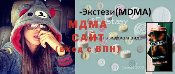 шишки Надым